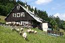 Penzion Bumbálka